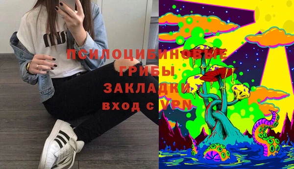 ALPHA PVP Алексин