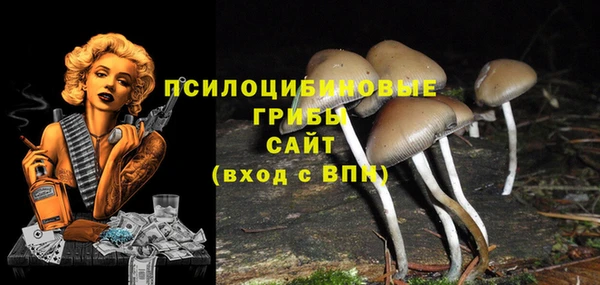 ПСИЛОЦИБИНОВЫЕ ГРИБЫ Алексеевка