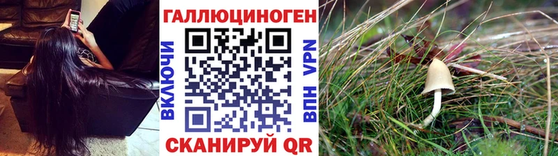 купить наркотик  Муром  Псилоцибиновые грибы прущие грибы 